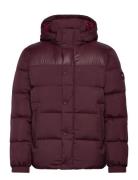 Mix Down Hooded Puffer Tommy Hilfiger Burgundy