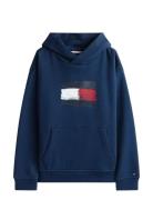 Flag Hoodie Tommy Hilfiger Navy