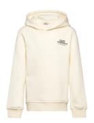 Graphic Hoodie GANT Cream