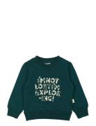 Ppdov Sweat Shirt Petit Piao Green