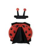 Ladybug Dress-Up Kid's Concept Red