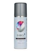 Sibel Metallic Hair Colour Spray Silver - Art P001142 125 ml