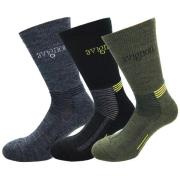 Avignon Terry Wool 3-Pack Multicolour