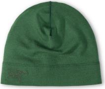 Arc'teryx Rho Lightweight Wool Toque Eden