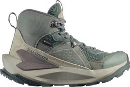 Salomon Women's Elixir Mid GORE-TEX Urban Chic/Flint Gray/Plum Kitten