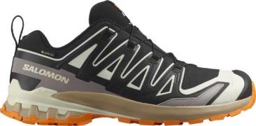 Salomon Men's XA 3D Pro V9 GORE-TEX Black/Vanilla Ice/Turmeric