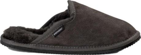 Shepherd of Sweden Terry Asphalt