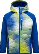 Peak Performance Men's AOP Helium Down Hybrid Hood AOP