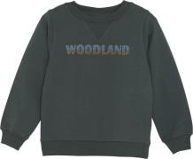 En Fant Sweatshirt Mand Green Gables Sweatshirts Str 128 - hos Magasin