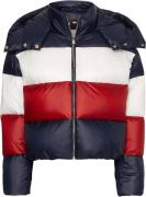 Tommy Hilfiger Sport Colorblock Dunjakke Mand Blå Sneakers Str S - hos...