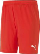 Puma Teamgoal 23 Knit Shorts L - Træningsshorts hos Magasin