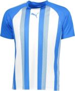 Puma Teamliga iped Tshirt L - T-shirts hos Magasin