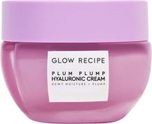 Glow Recipe Plum Plump™ Hyaluronic Moisturizer 20 ml - Dagcreme hos Ma...