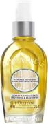 L'Occitane Almond Supple Oil 100ml 100 ml - Cremer hos Magasin