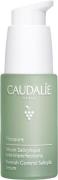 Caudalie Caudalie Vinopure Blemish Control Salicylic Serum 30 ml 30 ml...