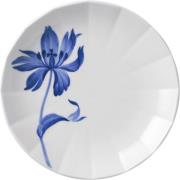 Royal Copenhagen Blomst Tallerken Tulipan 19 CM Hvid Str 19 - Frokostt...