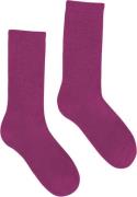 Colorful Standard Organic Active Sock 41-46 - Ankelømper hos Magasin