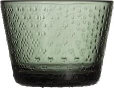 Iittala Tundra Drikkeglas 16cl Pine Green 2 stk Fyrregrøn - Vandglas h...