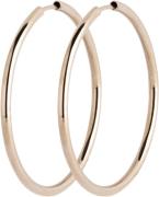 Maria Black Senorita 35 Hoop 35 Rose Gold HP 35 - Creoler hos Magasin