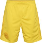 Hummel DBU Danmark Målmandsshorts 22 128 - Træningsshorts hos Magasin