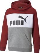 Puma Essentials+ Colourblock Hættetrøje 92 - Sweatshirts & Hættetrøjer...