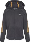 adidas Future Icons Winterized Hættetrøje 128 - Sweatshirts & Hættetrø...