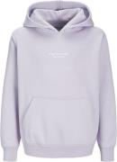 Jack & Jones Jorvesterbro Sweat Hood Noos JNR Str 152 Drenge - Cosmic ...