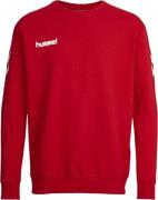 Hummel Core Cotton Sweatshirt S - T-shirts hos Magasin