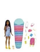 Dreamhouse Adventures Doll And Accessories Toys Dolls & Accessories Do...