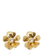 Anem Earrings Accessories Jewellery Earrings Studs Gold Caroline Svedb...