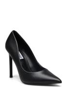 Vaze Pump Shoes Heels Pumps Classic Black Steve Madden