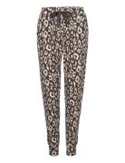 Pant Brushed Jersey Leopard Pyjamasbukser Hyggebukser Black Hunkemölle...