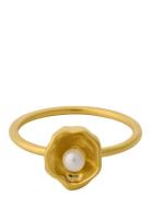 Hidden Pearl Ring Ring Smykker Gold Pernille Corydon