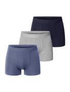 3-Pack Boxer Brief Mixed Color Boxershorts Blue Bread & Boxers
