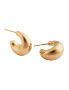 Bolded Little Sis Earrings Gold Accessories Jewellery Earrings Hoops G...