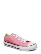 Yths C/T Allstar Ox Pink Shoes Sneakers Canva Sneakers Pink Converse