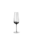 Champagne Glas 'Smoke' Glas Home Tableware Glass Champagne Glass Grey ...