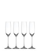 Salute Champagne Glas 21 Cl 4-P Home Tableware Glass Champagne Glass N...