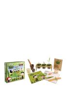 Green Factory / 14 Experiments - See Seeds And See Results Toys Creati...