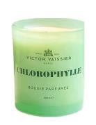 Candle Chlorophylle Duftlys Green Victor Vaissier