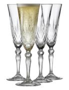 Champagne Melodia 16Cl 4 Stk. Home Tableware Glass Champagne Glass Nud...