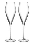 Champagneglas Prosecco Atelier Home Tableware Glass Champagne Glass Nu...