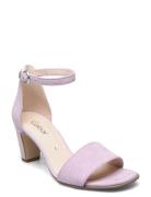 Ankle-Strap Sandal Sandal Med Hæl Purple Gabor