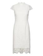 Stand-Up Collar Lace Dress Dresses Party Dresses White IVY OAK