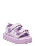 Zola Shoes Summer Shoes Sandals Purple Molo