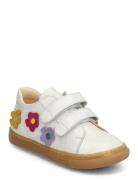 Shoes - Flat - With Velcro Low-top Sneakers White ANGULUS