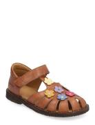 Sandals - Flat - Closed Toe - Shoes Summer Shoes Sandals Brown ANGULUS