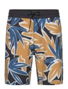 Og Print 18" Cruzer Badeshorts Multi/patterned O'neill