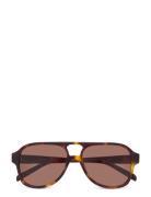 Gelo Tortoise Brown Pilotbriller Solbriller Brown Corlin Eyewear