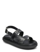 Lorelei Tan Leather Sandals Flade Sandaler Black ALOHAS